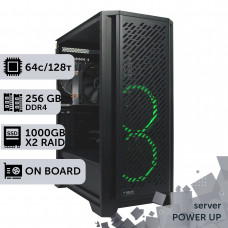 Сервер PowerUp #90 AMD EPYC 7702 /256 GB/SSD 1TB х2 Raid/Int Video